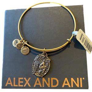 Alex and Ani Guardian of Answers Bangle Bracelet🆕